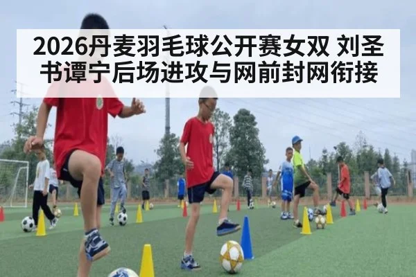 2026丹麦羽毛球公开赛女双 刘圣书谭宁后场进攻与网前封网衔接
