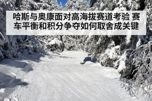 哈斯与奥康面对高海拔赛道考验 赛车平衡和积分争夺如何取舍成关键